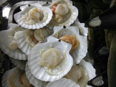 android_upload_pic-阿明烧烤·烤鱼·小龙虾(水清路店)