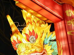 -武汉园博园(武汉自然博物馆)