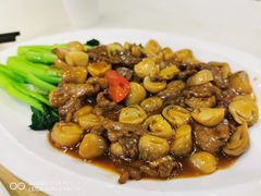 蚝皇鲜菇黄牛肉-清心鸡沙田乳鸽店·非遗传承(石溪店)