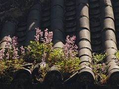 -东坡赤壁风景名胜区