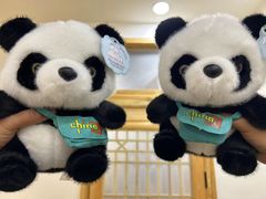 -胖子鱼·油泼甘谷辣子炝活鱼(秦州407店)