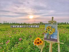 -贡湖湾湿地公园