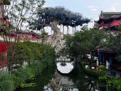 -眉山湿地公园(东坡区)