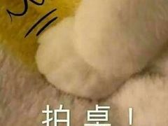 -金凤成祥(为公桥店)