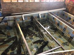 水产区-缘福乡村铁锅炖民宿(八达岭店)