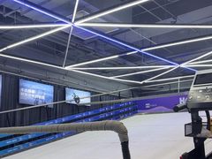 -Hopo Snow 城市滑雪空间(来福士广场购物中心店)