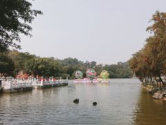 -珠海圆明新园