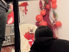 -超宠爱宠物摄影-Super pet