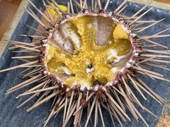 -海胆小馆(东北水饺·春柳店)