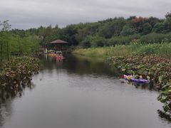 -同里国家湿地公园