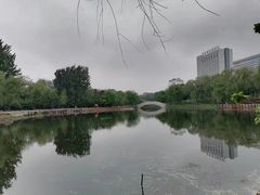 -万泉公园