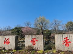 -香雪海
