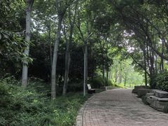 -郑州植物园