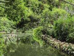 -成都市活水公园