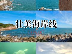 -广东惠东海龟国家级自然保护区