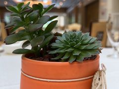 -潮皇食府(北京店)