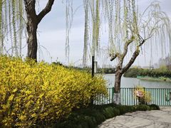 -黄兴公园