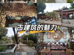 -碧江金楼
