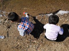 -长白岛森林公园