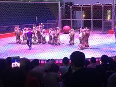 -西安秦岭野生动物园