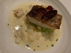 澳洲国鱼-蝶舍·MAISON PAPILLON