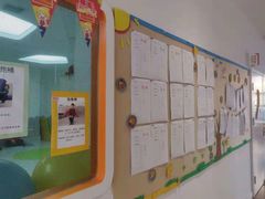 -金色雨林学习力培优(专注力提升)