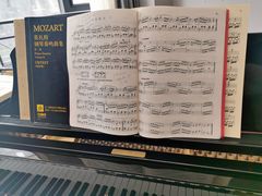 -Melody Mentor音乐私教馆(朝外·悠唐店)