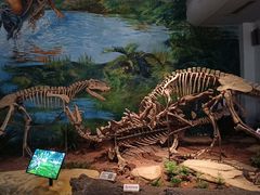 -自贡恐龙博物馆