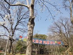 -紫金山山顶公园