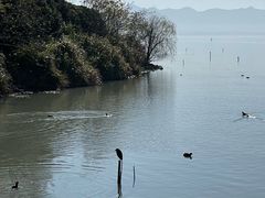 -东钱湖小普陀景区