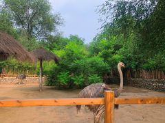 -北京野生动物园