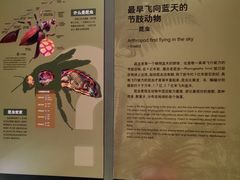 -天津自然博物馆