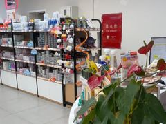 -全心全意动物诊疗中心医院(北苑店)