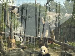 -武汉动物园