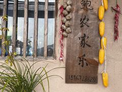 -老鲍农家乐
