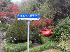 -十八棵（老龙井）御茶园(老龙井店)