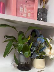 -美画·轻奢美甲美睫