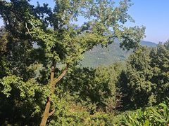 -广州市石门国家森林公园