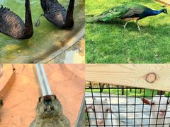 -南戴河国际娱乐中心