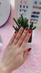 -LJ nail日式美甲工作室