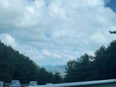 -四明山国家森林公园