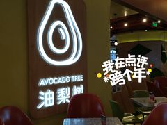 -油梨树AVOCADO TREE(嘉里中心店)
