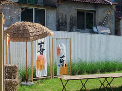 -龙坞茶村