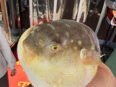 -永安鱼庄·镇江菜(东吴路店)