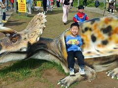 -西部长青自然儿童乐园