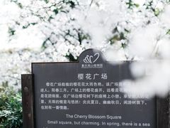 -南山植物园