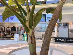 -CoCo都可(崇川万象城店)