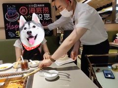 -海底捞火锅(八佰伴店)