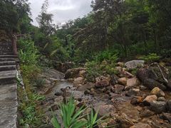 -广州白江湖森林公园