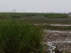 -南汇嘴观海公园